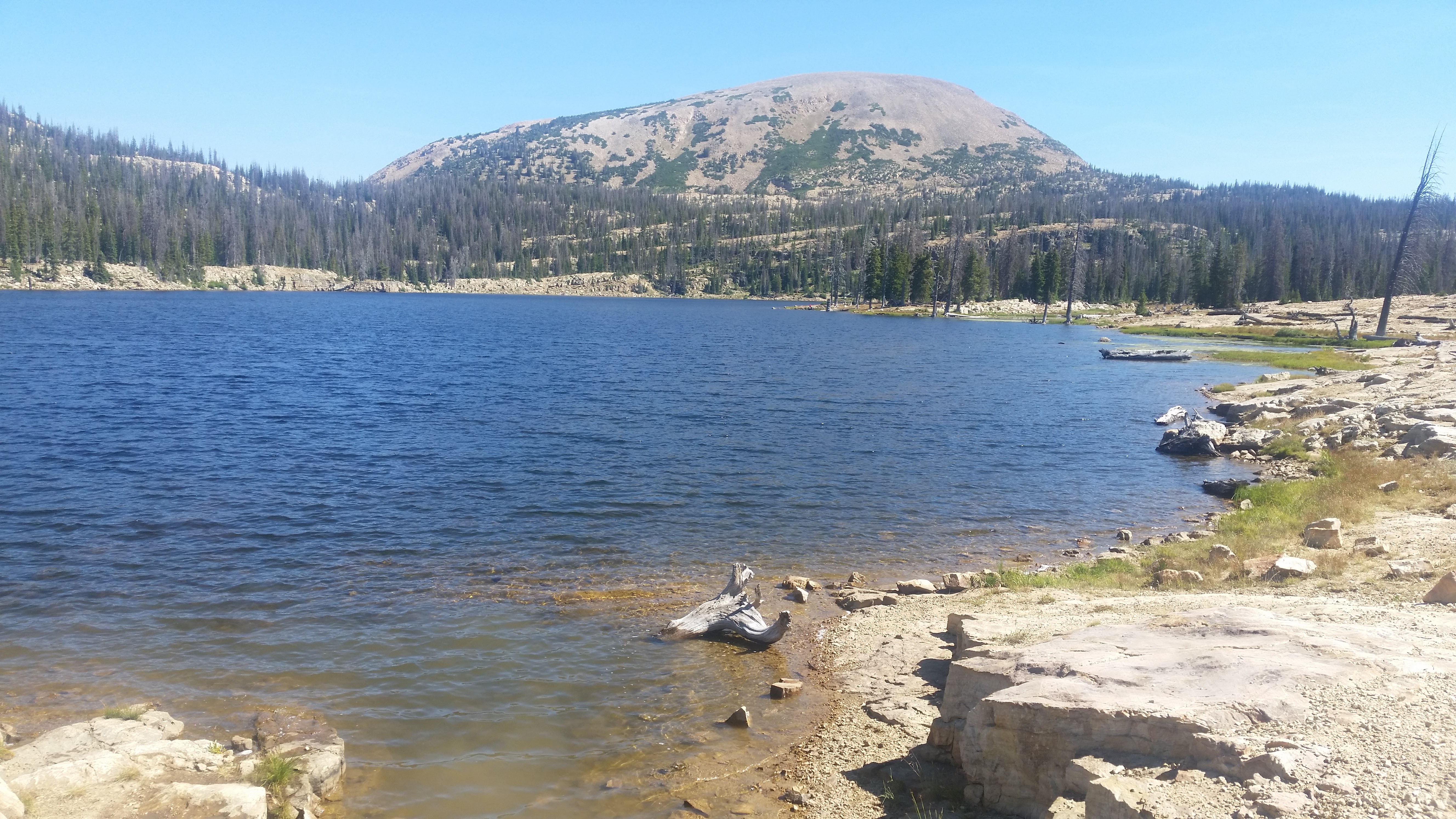 Snowbird – Utah · 2016